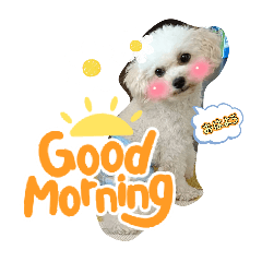 koakoari_20260109122612