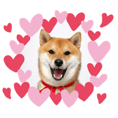 eririchan_20260109122235