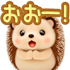 ぽてっとふわふわ♡毎日のハリネズミ