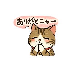 PONZU_20260109163811