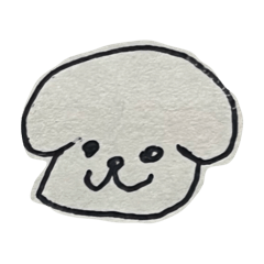 K.Sasaki_20260109213157