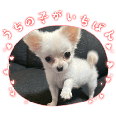 tomomomo_20260109140746