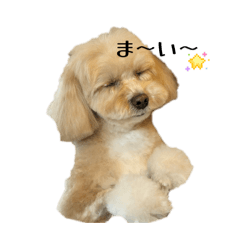 hakase_20260109150744