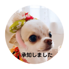 kohime_20260109205529
