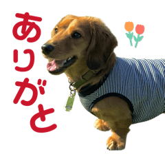 nqo_20260109205504