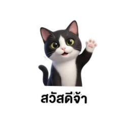 chinkchink_20260109210009