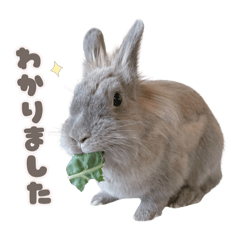 natsumi_20260109195918