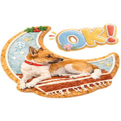 うちの子クッキー”カイト＆ヒカリ”