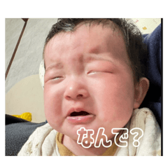 tomiokamiu_20260109204649