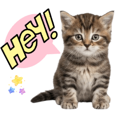 murakata-shop_20260109190405