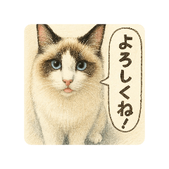 sakura_20260109234943