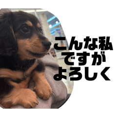 fukuchan_20260109235231