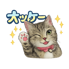 shinya_20260109224344