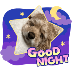 kinako_20260109202606