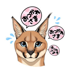 pomechiwa_20260110023107