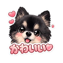 akane_20260109211246