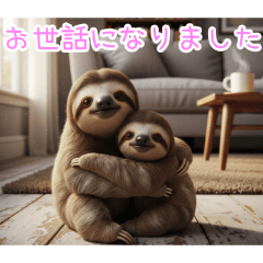 [お世話になりました専用]ナマケモノ