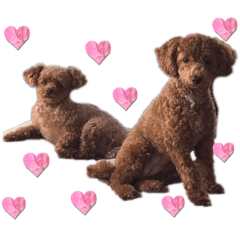 AyaNon_20260109212017