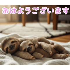 [おはようございます専用]ナマケモノ