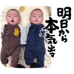 shiori_20260110072304