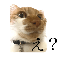 Shiori_20260110112315