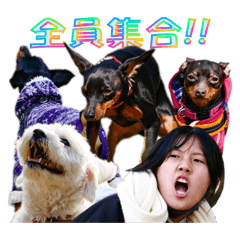 飯盛山ワンコの会