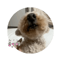 mizuki_20260110125156