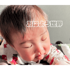 tomiokamiu_20260109222748