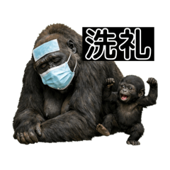 MEGUO_20260108135704