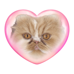 Watakichisan no stamp