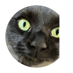 Miinya_20260110135223