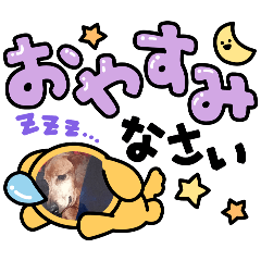 akasa_20260110101200