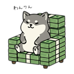 yt8126_20260110102152