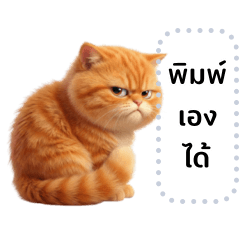 น้อนแมวส้มตัวแสบ (เปลี่ยนข้อความได้)