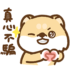 Hi John : ''No Thanks''