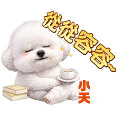 small_20260107185418