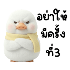 Cute and Angry White Duck