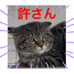 Michie_20260110121534