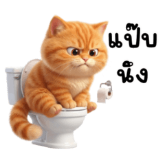 Cute and Naughty Orange Cat