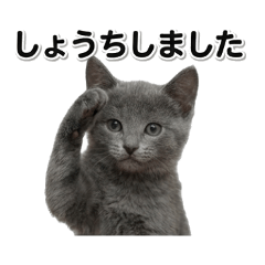 YOUAOKI@edo_20260108211910