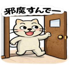 isoyakatu_20260108235000