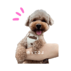 mizuki_20260110123928