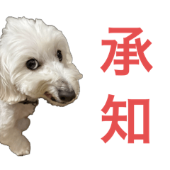 Skyblue_20260110154806