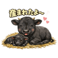 KURUMI_20260110155347