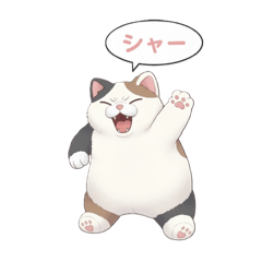 Yocchan_20260110160710