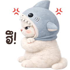 White Kitten Shark Hat