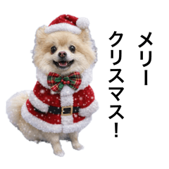 komachi_20260110163346