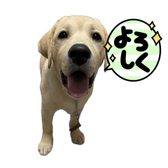 I'm Rick!_20260110163601