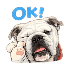 charlie_20260110162421