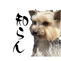 Rancorou_20260110163114